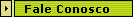 Fale Conosco